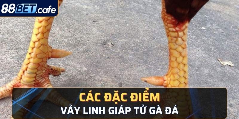 Các đặc điểm cơ bản của loại vảy linh giáp tử gà đá