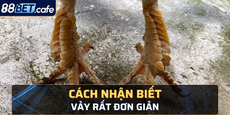 Cách nhận biết đơn giản