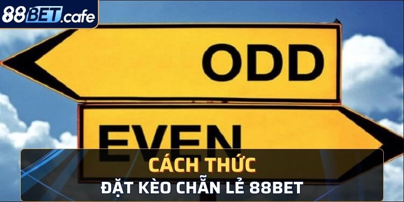 Các hình thức đặt kèo chẵn lẻ tại nhà cái 88bet hiện nay