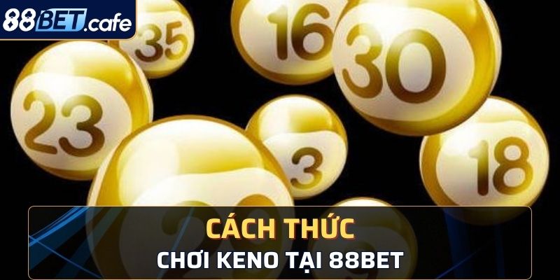 Cách chơi keno đơn giản không quá phức tạp khi tìm hiểu