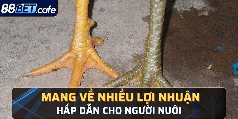  Mang về nhiều lợi nhuận hấp dẫn cho người nuôi 